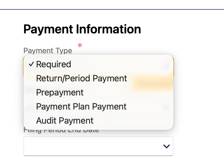 Payment Type dropdown showing Return/Period Payment